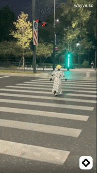 Mood Feels GIF by Darwin