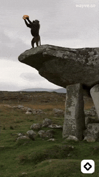 Mood Feels GIF by Darwin