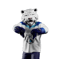 Hockey Hokej Sticker by Tipsport extraliga