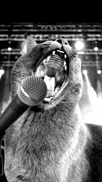 ekekeklunagarcia cats kitty scream singing GIF
