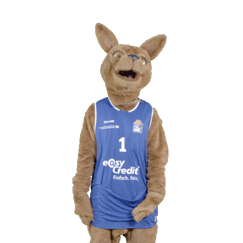 social-media-easycredit giphyupload basketball zeigen easycredit Sticker