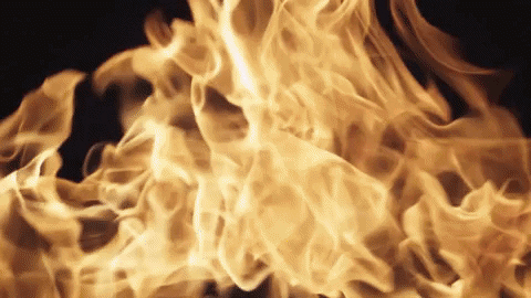 roynaufal GIF