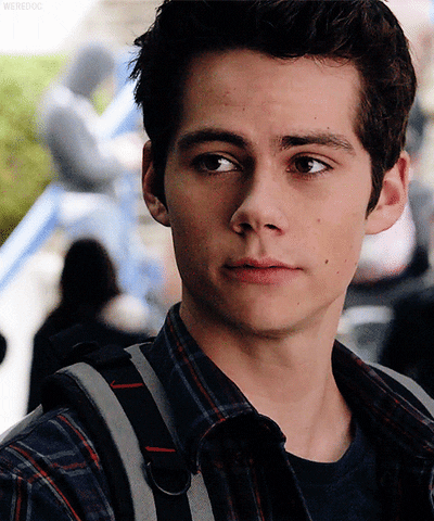 stiles GIF