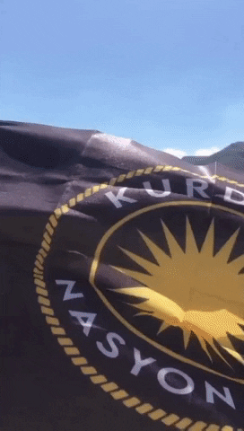 Tevgerakurdistan kurdistan kurdayeti kurdennasyonalist alanasyonal GIF