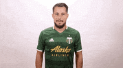 portland timbers wave GIF by Timbers