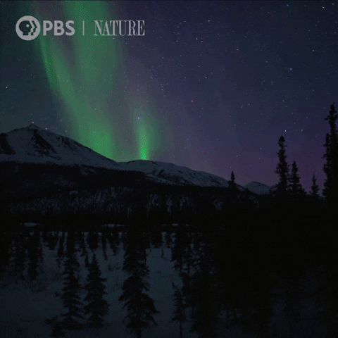 Northern Lights Beauty GIF by Nature on PBS