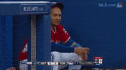 tor det GIF by MLB