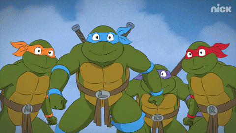 ninja turtles GIF by Teenage Mutant Ninja Turtles