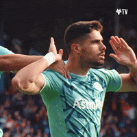 I Cant Hear You Premier League GIF by Wolves