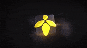 Black Fly GIF by BlackFly Music