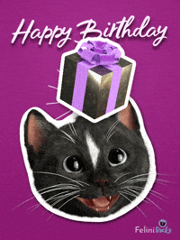 Happy Birthday GIF by Felini Rocks
