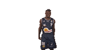 Sport Win Sticker by HAKRO Merlins Crailsheim