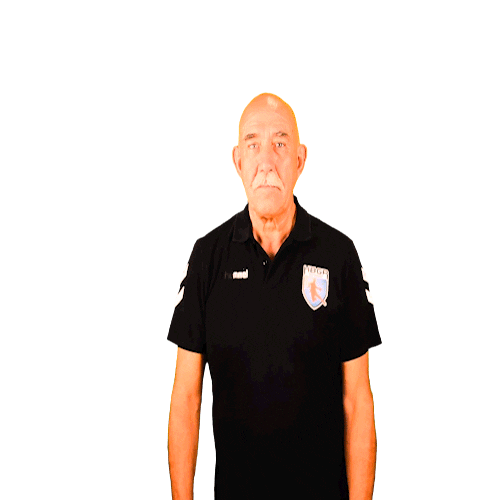 Handball Sticker by Club-HBGR
