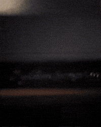 Dani GIF