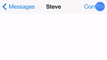 Steve Minecraft Texting