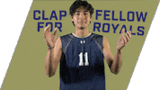Volleyball Sticker by Queens University of Charlotte Athletics