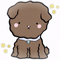 copomx dog dogs perro doggy GIF