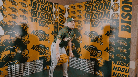 Baseball Bison GIF by NDSU Athletics