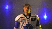 pentictonvees celebration goal hockey hockey stick GIF