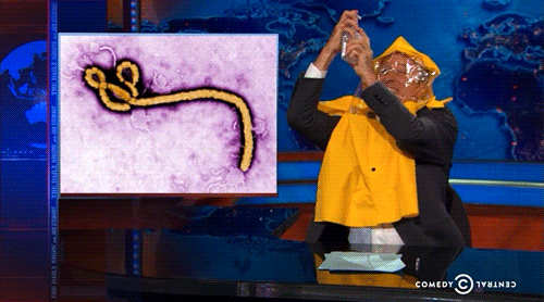 jon stewart television GIF