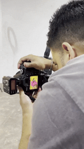 giphy.gif