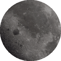 Luna Sticker by Sealed With A GIF