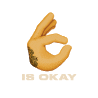 Emoji Ok Sticker by Nie Wieder Broke