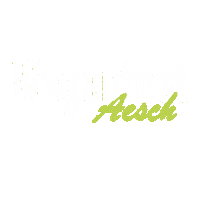 Wgf Sticker by Jungschar Aesch