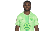 Germany No Sticker by VfL Wolfsburg