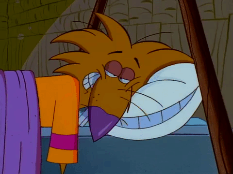 nickrewind giphydvr nicksplat angry beavers giphyab014 GIF