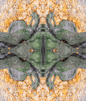 Art 3D GIF