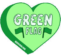 Green Flag Yes Sticker by Bedsider