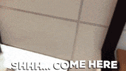 Come Follow Me GIF by Satish Gaire