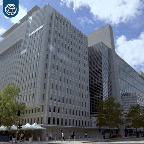 Banco Mundial GIF by World Bank