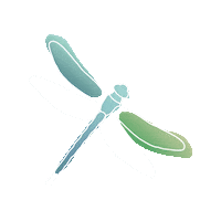 Dragon Fly Reflection Sticker by Protek