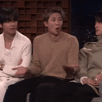 Rm Bts GIF