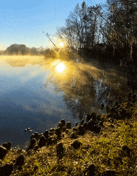 Loop Lake GIF by University of Florida
