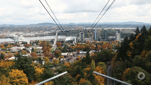 pacific northwest fall GIF by Simple