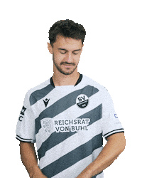 3Liga Sticker by SV Sandhausen