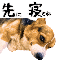 Corgi Milo Sticker