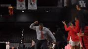celebrate university of houston GIF by Coogfans