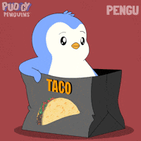 Taco Bell Penguin GIF by Pudgy Penguins