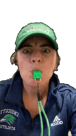 Lacrosse Sticker by Endicott Athletics