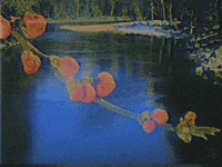 vintage water GIF by rotomangler