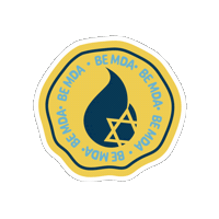 Mda Sticker by Magen David Academy