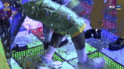 Bbnaija11 GIF by Big Brother Naija