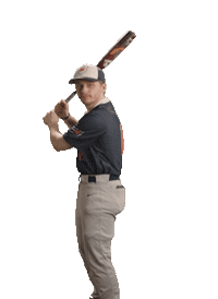 Wcsubaseball Sticker by WCSU