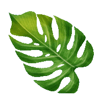 Plant Leaf Sticker by Trakto