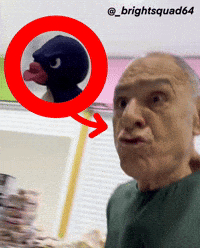 Nabi GIF