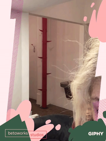 GIF by betaworks Studios